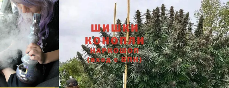 Каннабис OG Kush  Заринск 